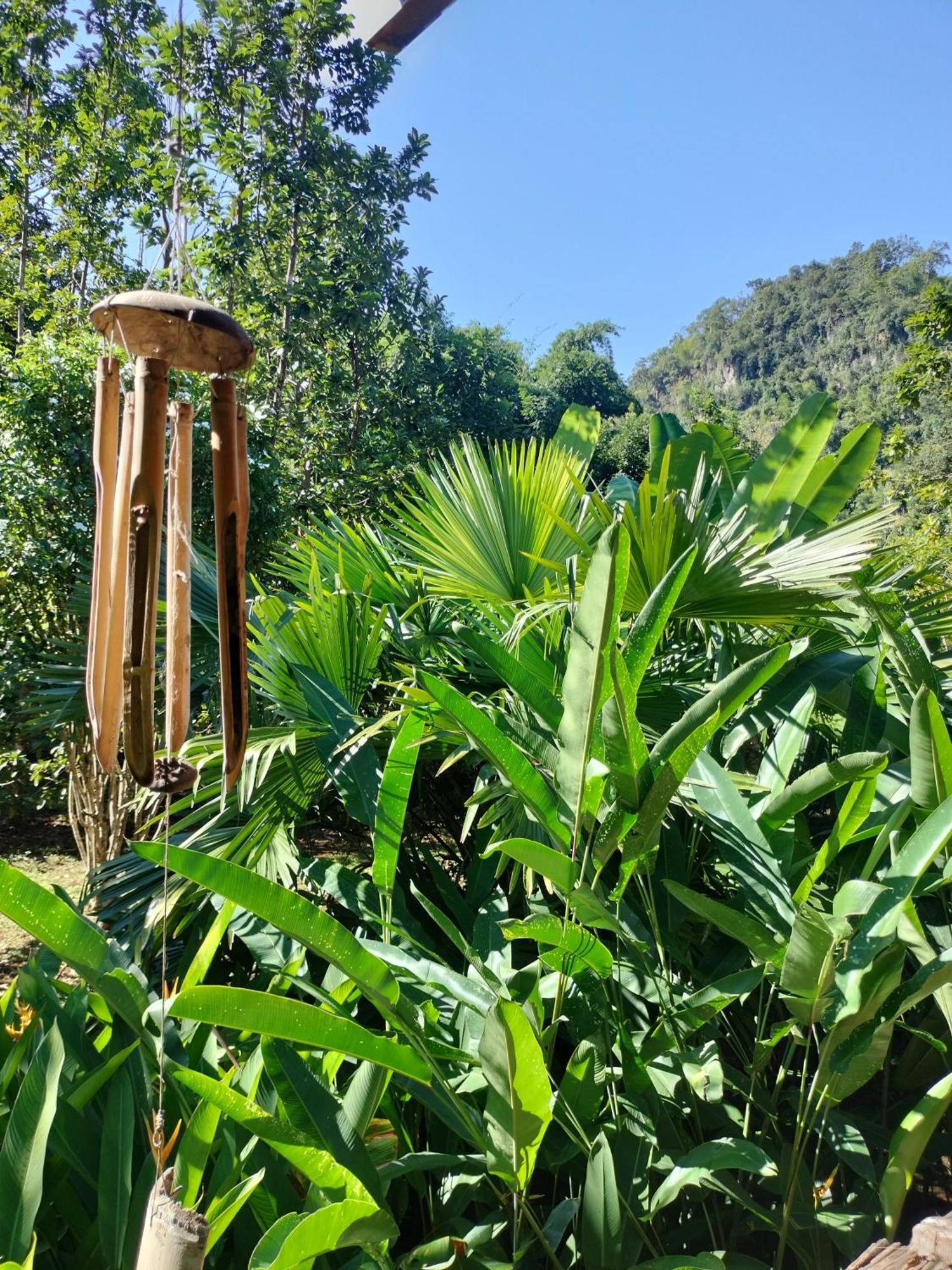 Pencave Homestay Pang Mapha Стая снимка